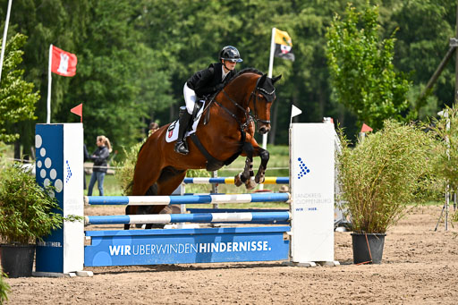 Goldene Schärpe Pferfde in Löningen 2026 | 14062026 Springen 2 Abt _173 