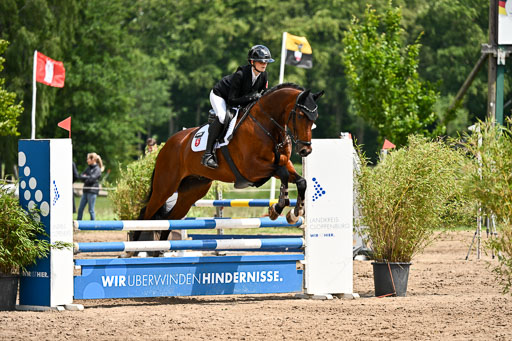 Goldene Schärpe Pferfde in Löningen 2026 | 14062026 Springen 2 Abt _174 
