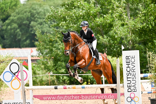 Goldene Schärpe Pferfde in Löningen 2026 | 14062026 Springen 2 Abt _178 