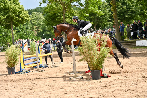 Goldene Schärpe Pferfde in Löningen 2026 | 14062026 Springen 2 Abt _184 