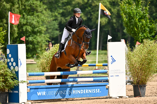 Goldene Schärpe Pferfde in Löningen 2026 | 14062026 Springen 2 Abt _185 