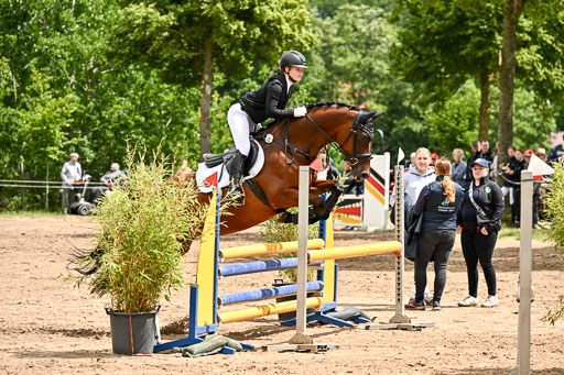 Goldene Schärpe Pferfde in Löningen 2026 | 14062026 Springen 2 Abt _187 