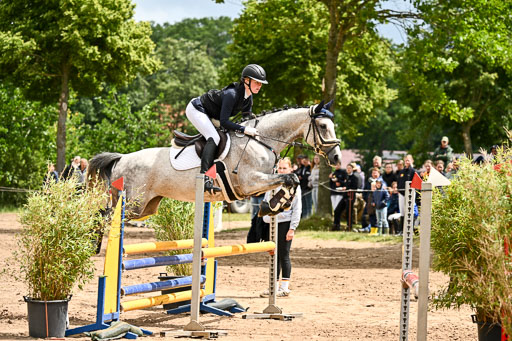 Goldene Schärpe Pferfde in Löningen 2026 | 14062026 Springen 2 Abt _200 