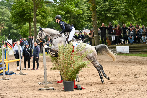 Goldene Schärpe Pferfde in Löningen 2026 | 14062026 Springen 2 Abt _206 