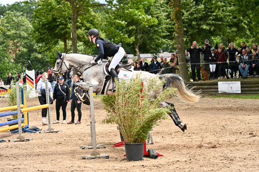 Goldene Schärpe Pferfde in Löningen 2026 | 14062026 Springen 2 Abt _207 
