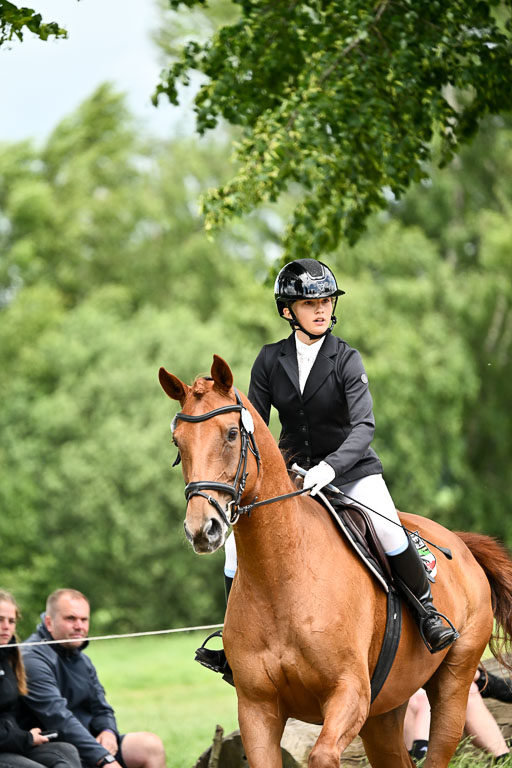 Goldene Schärpe Pferfde in Löningen 2026 | 14062026 Springen 2 Abt _208 