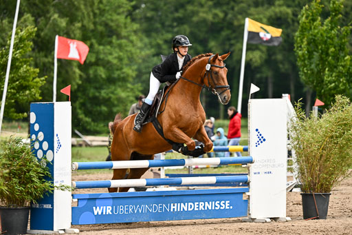 Goldene Schärpe Pferfde in Löningen 2026 | 14062026 Springen 2 Abt _209 