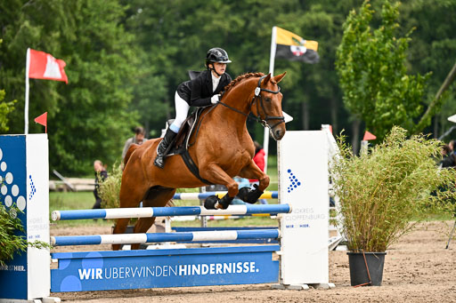 Goldene Schärpe Pferfde in Löningen 2026 | 14062026 Springen 2 Abt _210 
