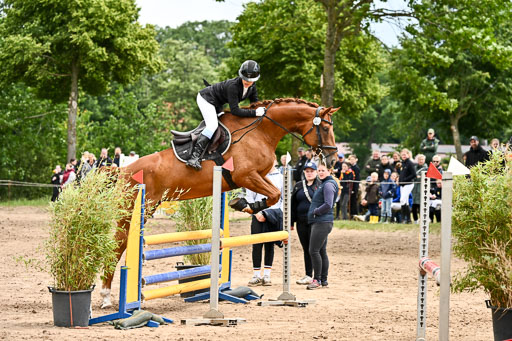 Goldene Schärpe Pferfde in Löningen 2026 | 14062026 Springen 2 Abt _211 