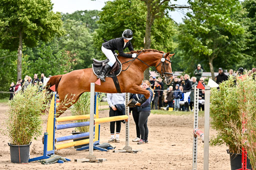 Goldene Schärpe Pferfde in Löningen 2026 | 14062026 Springen 2 Abt _212 