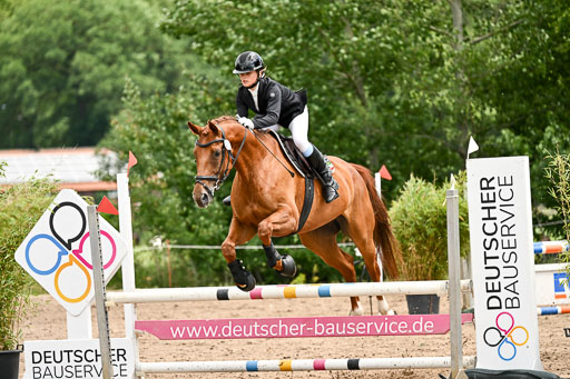 Goldene Schärpe Pferfde in Löningen 2026 | 14062026 Springen 2 Abt _214 