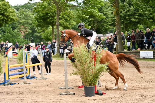 Goldene Schärpe Pferfde in Löningen 2026 | 14062026 Springen 2 Abt _217 