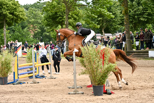 Goldene Schärpe Pferfde in Löningen 2026 | 14062026 Springen 2 Abt _218 