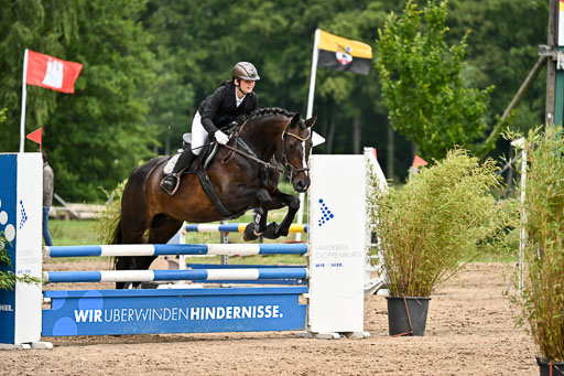 Goldene Schärpe Pferfde in Löningen 2026 | 14062026 Springen 2 Abt _219 