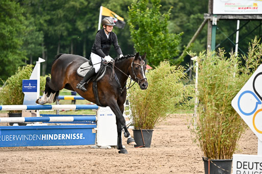Goldene Schärpe Pferfde in Löningen 2026 | 14062026 Springen 2 Abt _220 