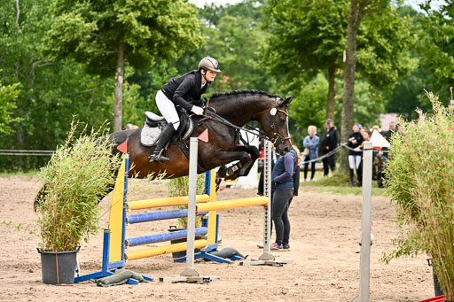 Goldene Schärpe Pferfde in Löningen 2026 | 14062026 Springen 2 Abt _221 