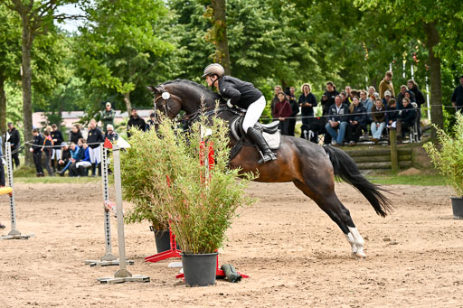 Goldene Schärpe Pferfde in Löningen 2026 | 14062026 Springen 2 Abt _227 