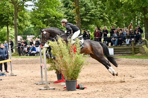 Goldene Schärpe Pferfde in Löningen 2026 | 14062026 Springen 2 Abt _228 