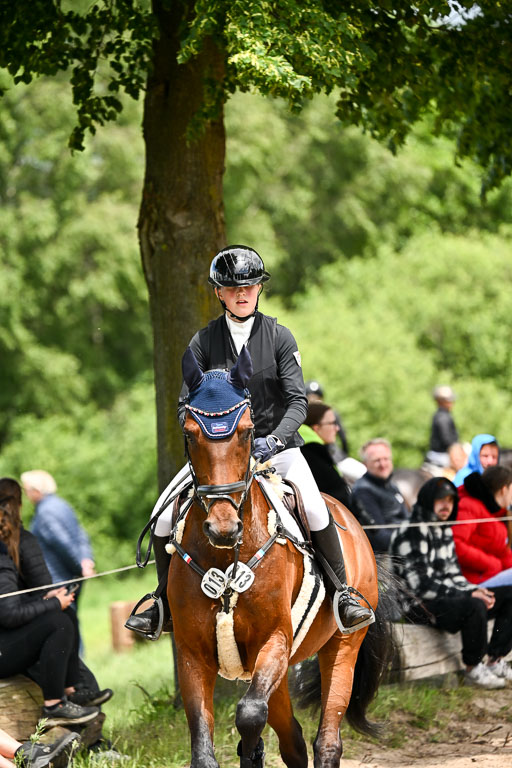 Goldene Schärpe Pferfde in Löningen 2026 | 14062026 Springen 2 Abt _229 