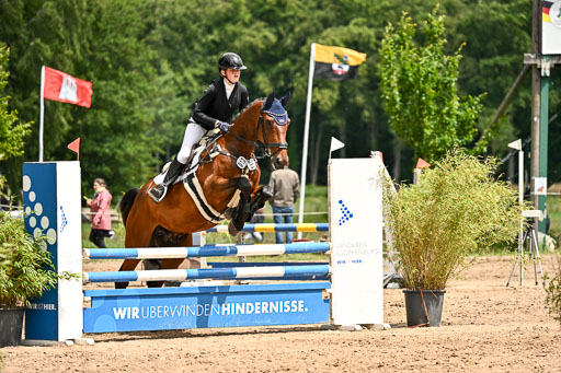 Goldene Schärpe Pferfde in Löningen 2026 | 14062026 Springen 2 Abt _231 