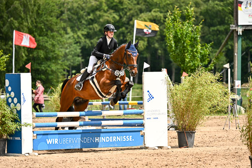 Goldene Schärpe Pferfde in Löningen 2026 | 14062026 Springen 2 Abt _232 
