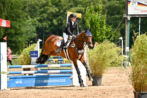 Goldene Schärpe Pferfde in Löningen 2026 | 14062026 Springen 2 Abt _233 