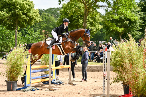 Goldene Schärpe Pferfde in Löningen 2026 | 14062026 Springen 2 Abt _235 