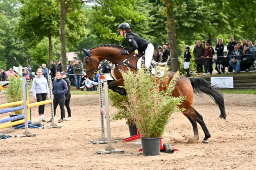 Goldene Schärpe Pferfde in Löningen 2026 | 14062026 Springen 2 Abt _241 