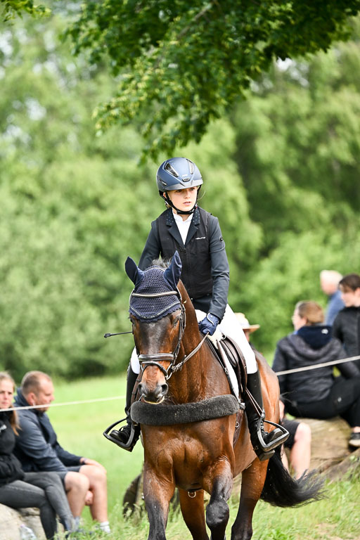 Goldene Schärpe Pferfde in Löningen 2026 | 14062026 Springen 2 Abt _243 