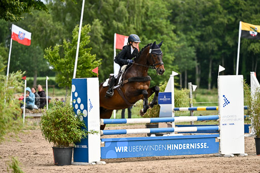 Goldene Schärpe Pferfde in Löningen 2026 | 14062026 Springen 2 Abt _244 