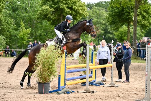 Goldene Schärpe Pferfde in Löningen 2026 | 14062026 Springen 2 Abt _246 
