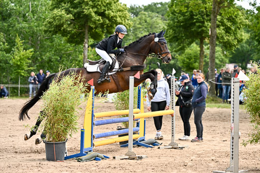 Goldene Schärpe Pferfde in Löningen 2026 | 14062026 Springen 2 Abt _247 