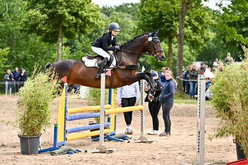 Goldene Schärpe Pferfde in Löningen 2026 | 14062026 Springen 2 Abt _248 