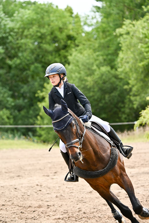 Goldene Schärpe Pferfde in Löningen 2026 | 14062026 Springen 2 Abt _249 
