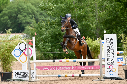 Goldene Schärpe Pferfde in Löningen 2026 | 14062026 Springen 2 Abt _250 