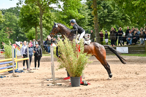 Goldene Schärpe Pferfde in Löningen 2026 | 14062026 Springen 2 Abt _256 