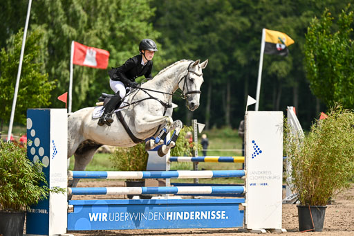 Goldene Schärpe Pferfde in Löningen 2026 | 14062026 Springen 2 Abt _260 