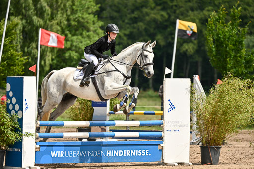 Goldene Schärpe Pferfde in Löningen 2026 | 14062026 Springen 2 Abt _261 