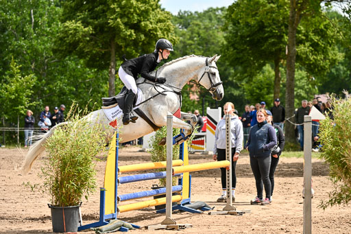 Goldene Schärpe Pferfde in Löningen 2026 | 14062026 Springen 2 Abt _262 