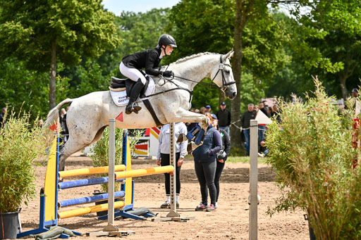 Goldene Schärpe Pferfde in Löningen 2026 | 14062026 Springen 2 Abt _264 