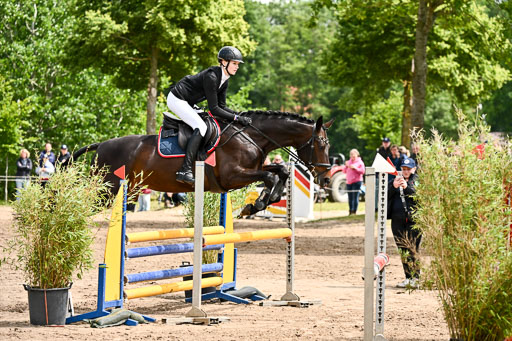 Goldene Schärpe Pferfde in Löningen 2026 | 14062026 Springen 2 Abt _274 