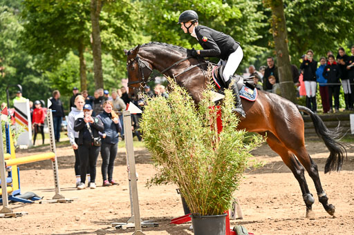 Goldene Schärpe Pferfde in Löningen 2026 | 14062026 Springen 2 Abt _279 