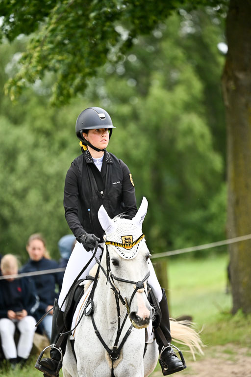 Goldene Schärpe Pferfde in Löningen 2026 | 14062026 Springen 2 Abt _280 