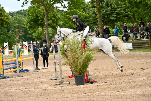 Goldene Schärpe Pferfde in Löningen 2026 | 14062026 Springen 2 Abt _289 