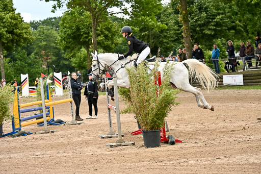 Goldene Schärpe Pferfde in Löningen 2026 | 14062026 Springen 2 Abt _290 