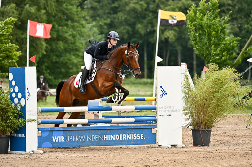Goldene Schärpe Pferfde in Löningen 2026 | 14062026 Springen 2 Abt _291 
