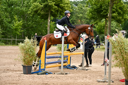 Goldene Schärpe Pferfde in Löningen 2026 | 14062026 Springen 2 Abt _292 