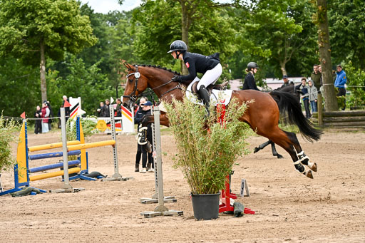 Goldene Schärpe Pferfde in Löningen 2026 | 14062026 Springen 2 Abt _298 