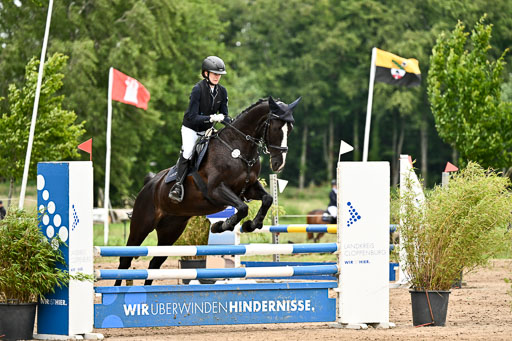 Goldene Schärpe Pferfde in Löningen 2026 | 14062026 Springen 2 Abt _299 