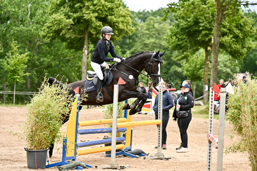 Goldene Schärpe Pferfde in Löningen 2026 | 14062026 Springen 2 Abt _300 